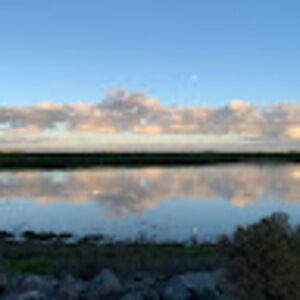 Meet your Posher, Mileyna